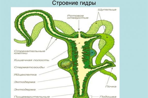 Доступ кракен