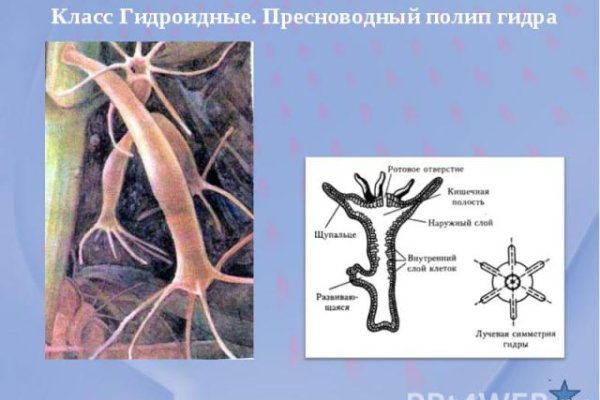 Ссылки на кракен маркетплейс тг